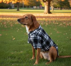 Black and White Plaid Flannel Pet Shirt