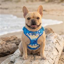 Catching Waves Print & Mesh Wrap and Snap Choke Free Step In Harness