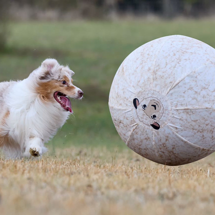 Better Sporting Dogs 25” Heavy Duty Sheep Lookalike Herding Ball for Dogs