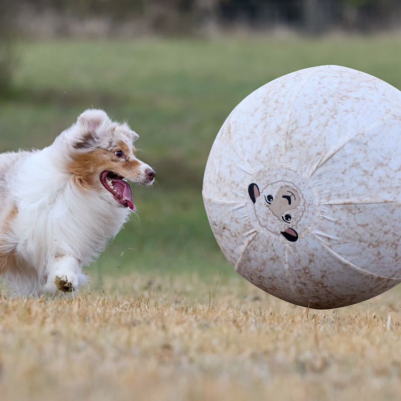 Better Sporting Dogs 25” Heavy Duty Sheep Lookalike Herding Ball for Dogs