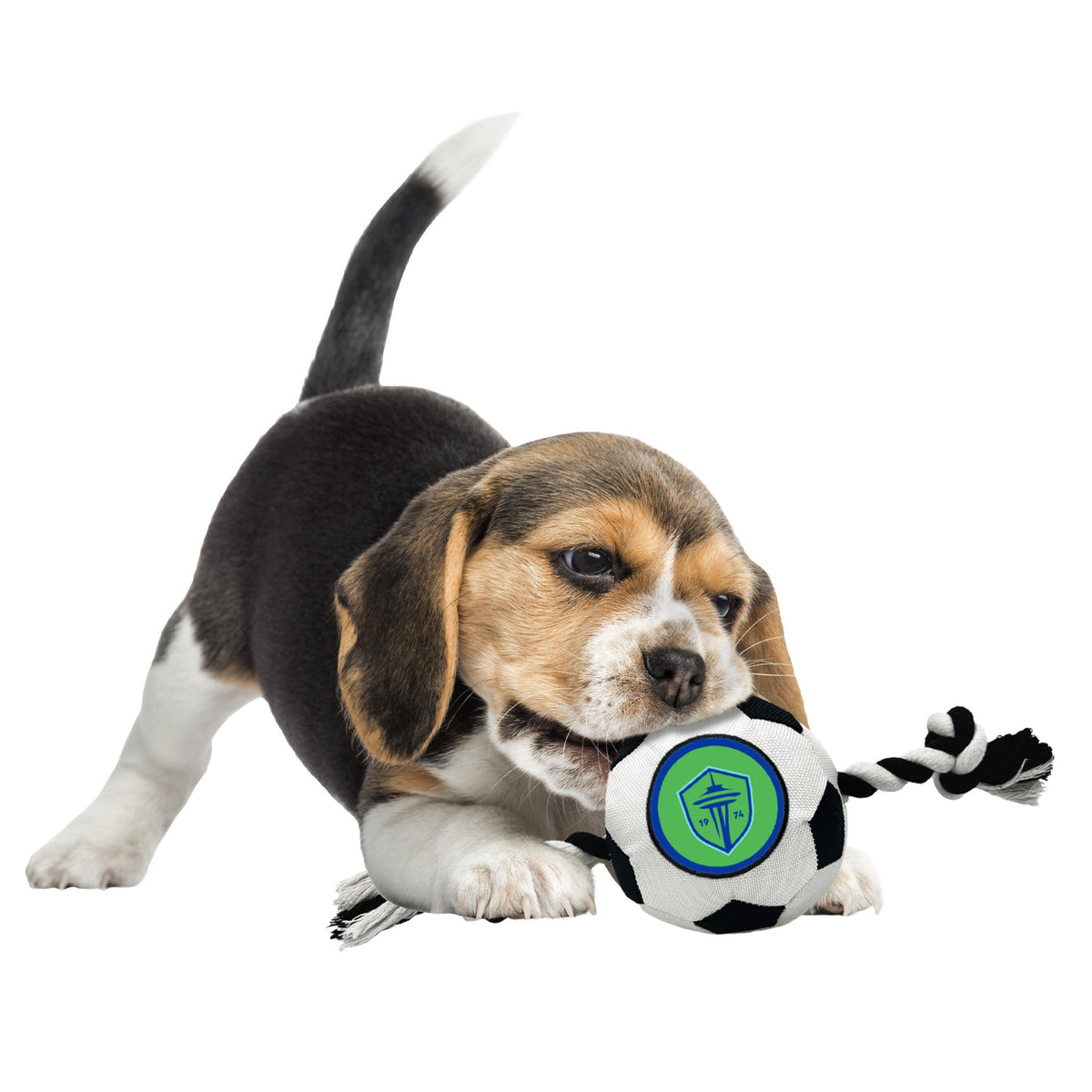 Seattle Sounders FC Soccer Ball Rope Toy