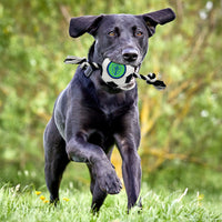Seattle Sounders FC Soccer Ball Rope Toy