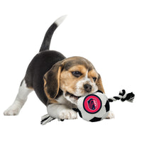 St Louis City FC Soccer Ball Rope Toy