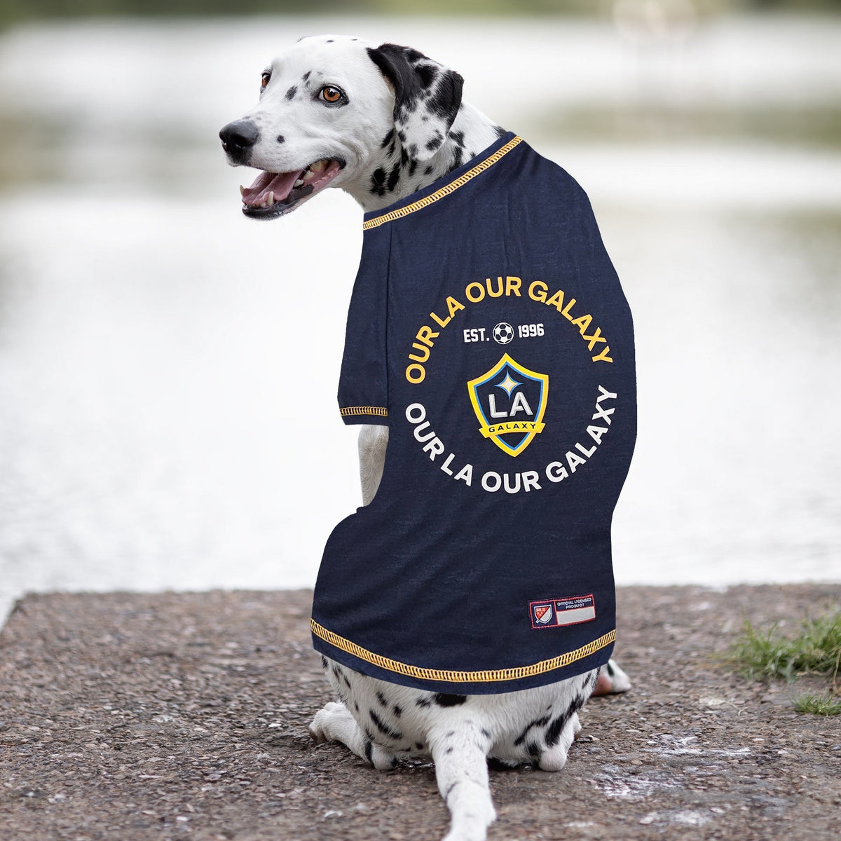 Los Angeles Galaxy Athletics Tee Shirt
