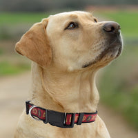 Atlanta United FC Dog Satin Collar or Leash