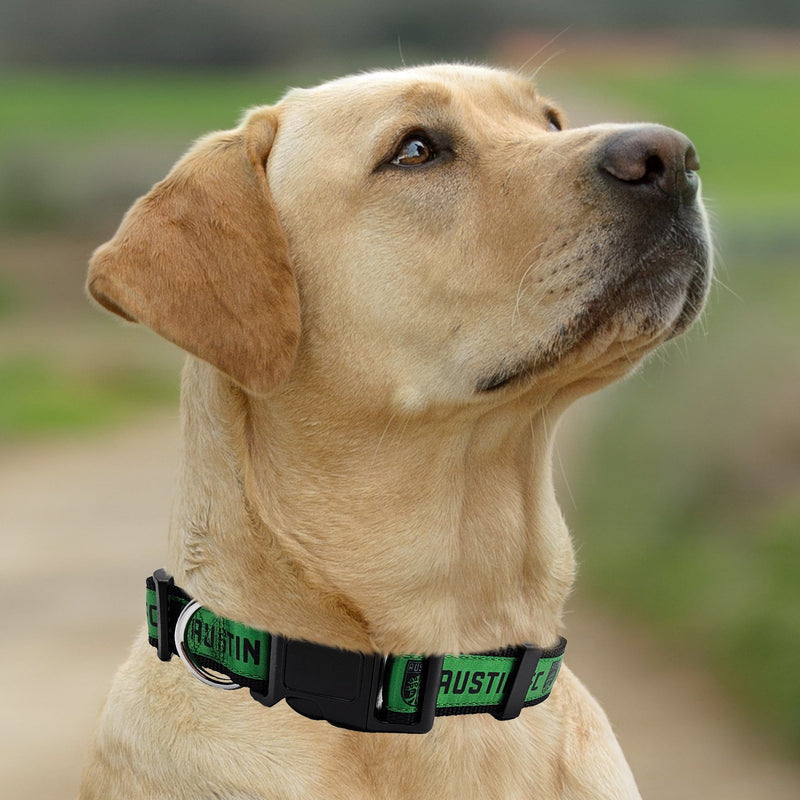 Austin FC Dog Satin Collar or Leash