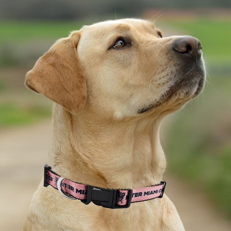 Inter Miami CF Dog Satin Collar or Leash