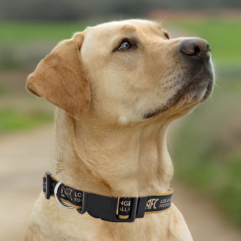 Los Angeles FC Dog Satin Collar or Leash