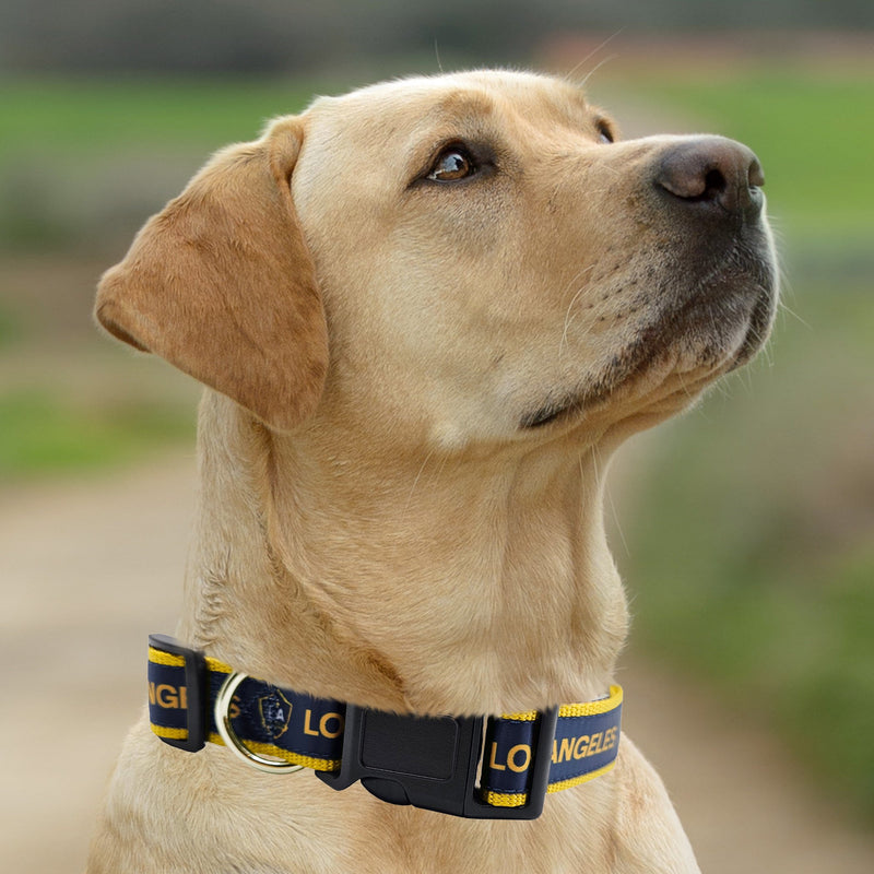 Los Angeles Galaxy Dog Satin Collar or Leash