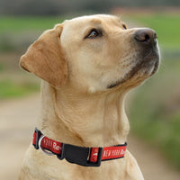 New York Red Bulls Dog Satin Collar or Leash