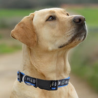 Philadelphia Union Dog Satin Collar or Leash