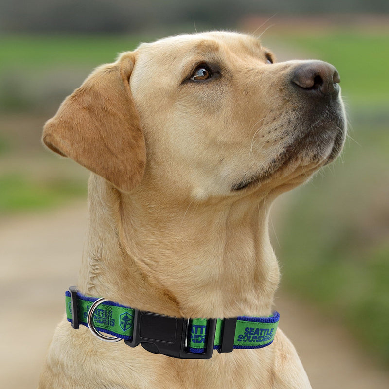 Seattle Sounders FC Dog Satin Collar or Leash