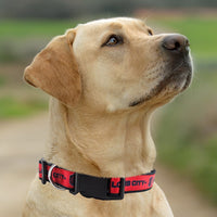 St Louis City SC Dog Satin Collar or Leash