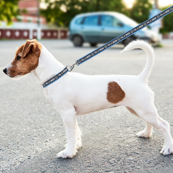 Philadelphia Union Dog Satin Collar or Leash
