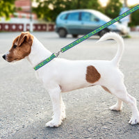 Seattle Sounders FC Dog Satin Collar or Leash