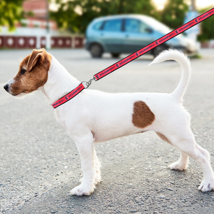 St Louis City SC Dog Satin Collar or Leash
