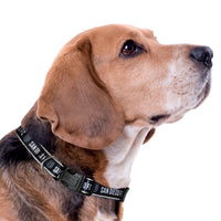 San Diego FC Dog Satin Collar or Leash