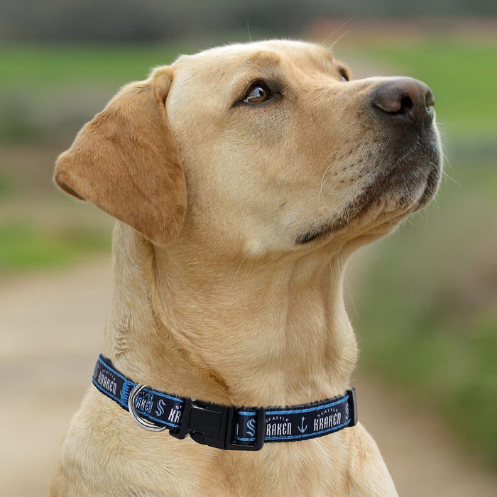 Seattle Kraken Dog Satin Collar or Leash