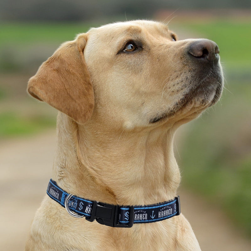 Seattle Kraken Dog Satin Collar or Leash