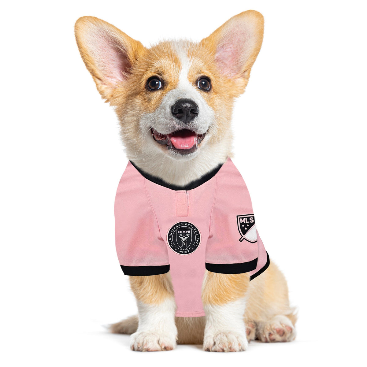 Inter Miami CF Lionel Messi Player Premium Pet Jersey