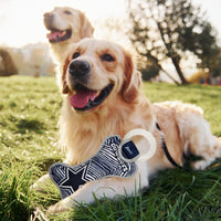 Dallas Cowboys Zubaz Dental Tug Toys