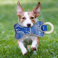 Detroit Lions Zubaz Dental Tug Toys