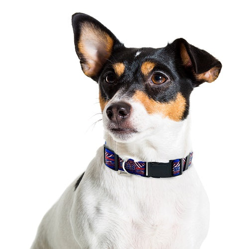Buffalo Bills Dog Zubaz Collar or Leash