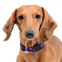 Buffalo Bills Dog Zubaz Collar or Leash