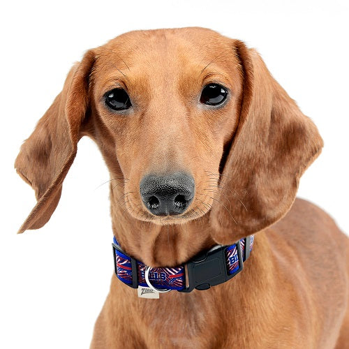 Buffalo Bills Dog Zubaz Collar or Leash