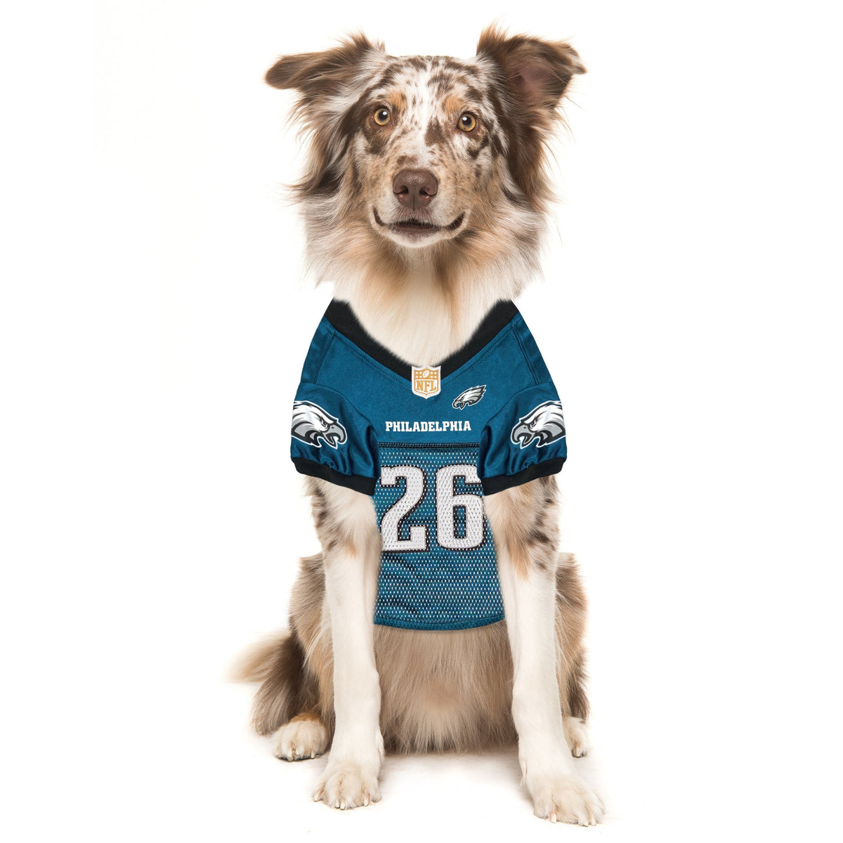 Philadelphia Eagles Saquon Barkley 26 Pet Jersey