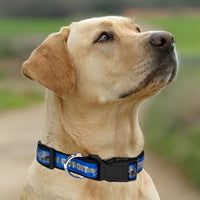 Detroit Lions Dog Satin Collar or Leash
