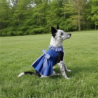 Blue Gingham Harness Dress with Leash
