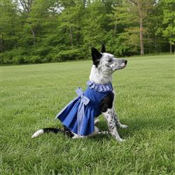 Blue Gingham Harness Dress with Leash