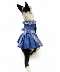 Blue Gingham Harness Dress with Leash
