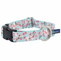 Cherry Blossoms Dog Collar – EarthStyle