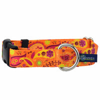 Orange Paisley Dog Collar – EarthStyle