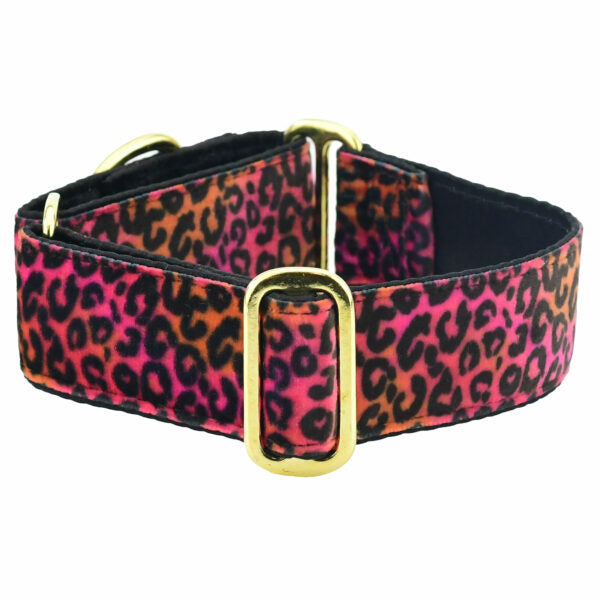 Wild Kitty Pink Elite Velvet Dog Collar – 3 Red Rovers