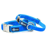 Venetian Blue Velvet Essential Dog Collar