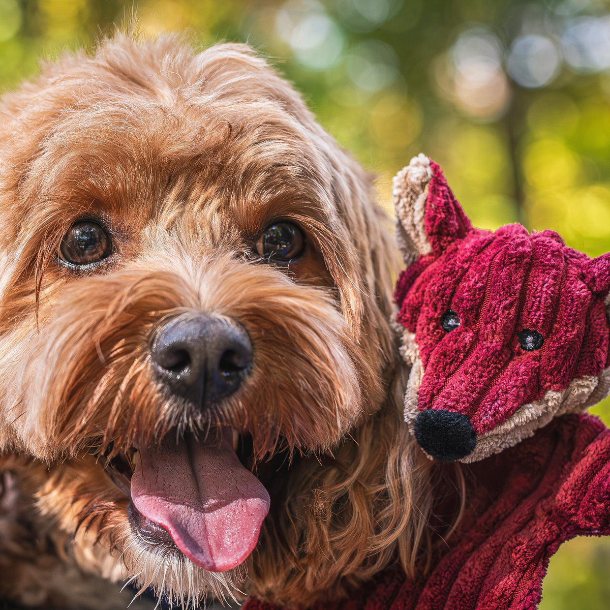 Woodland HuggleFlatties™ Assorted Durable Plush Dog Toys (3pk)