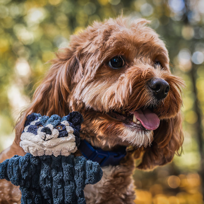 Woodland HuggleFlatties™ Assorted Durable Plush Dog Toys (3pk)