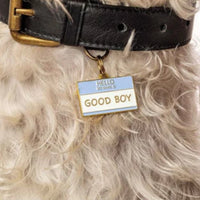 Good Boy Pet ID Tag