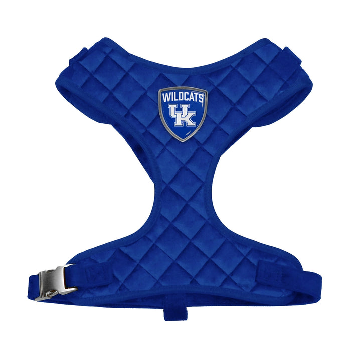 KY Wildcats Velvet Harness