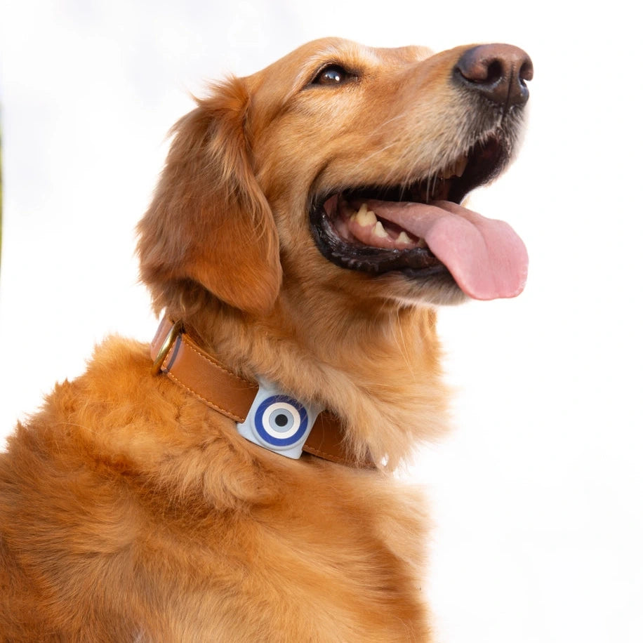 Evil Eye AirTag Holder