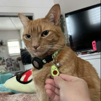 Avocado Pet ID Tag