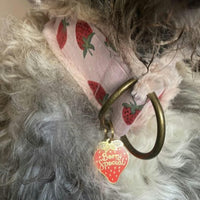 Berry Special Pet ID Tag