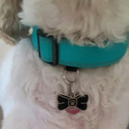 Bowtie Pet ID Tag
