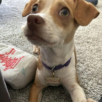 Cute But Psycho Pet ID Tag