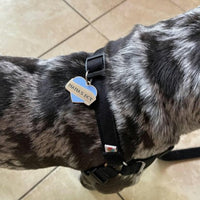 Mamas Boy Pet ID Tag