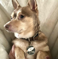 Space Cadet Pet ID Tag