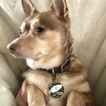 Space Cadet Pet ID Tag